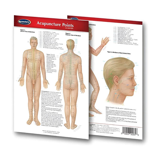 Body Point Map (Digital Edition)