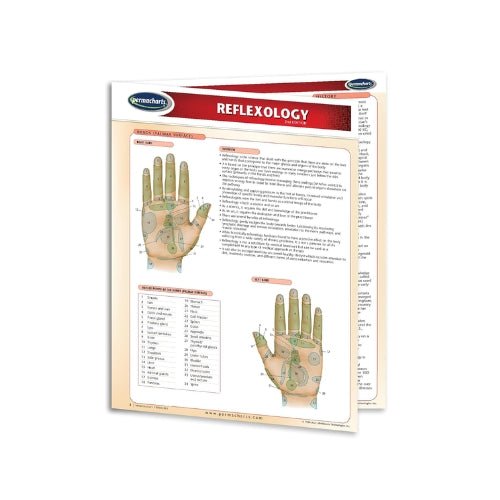 Reflexology Chart (Digital Edition) - Theracups